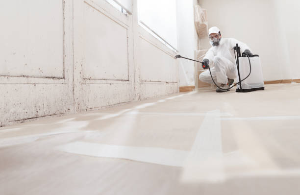 24/7 Emergency Crawl Space Mold Removal experts in Newton, NJ